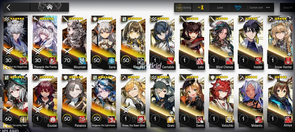 ARKNIGHTS GLOBAL EARLYMID 9*6 , 2 LIMITED SILVERASH ALTER,SKADI ALTER , PRAMANIX ALTER,MOUNTAIN