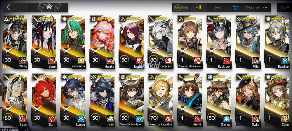 ARKNIGHTS GLOBAL STARTERMID 10*6 , LIMITED WANG , HARUKA,BLAZE,SURTR,IRENE,EXUSIAI,HOSHIGUMA,LUMEN