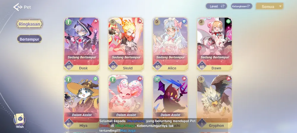 Level 60 Job Crusaider 5 Pet SSR